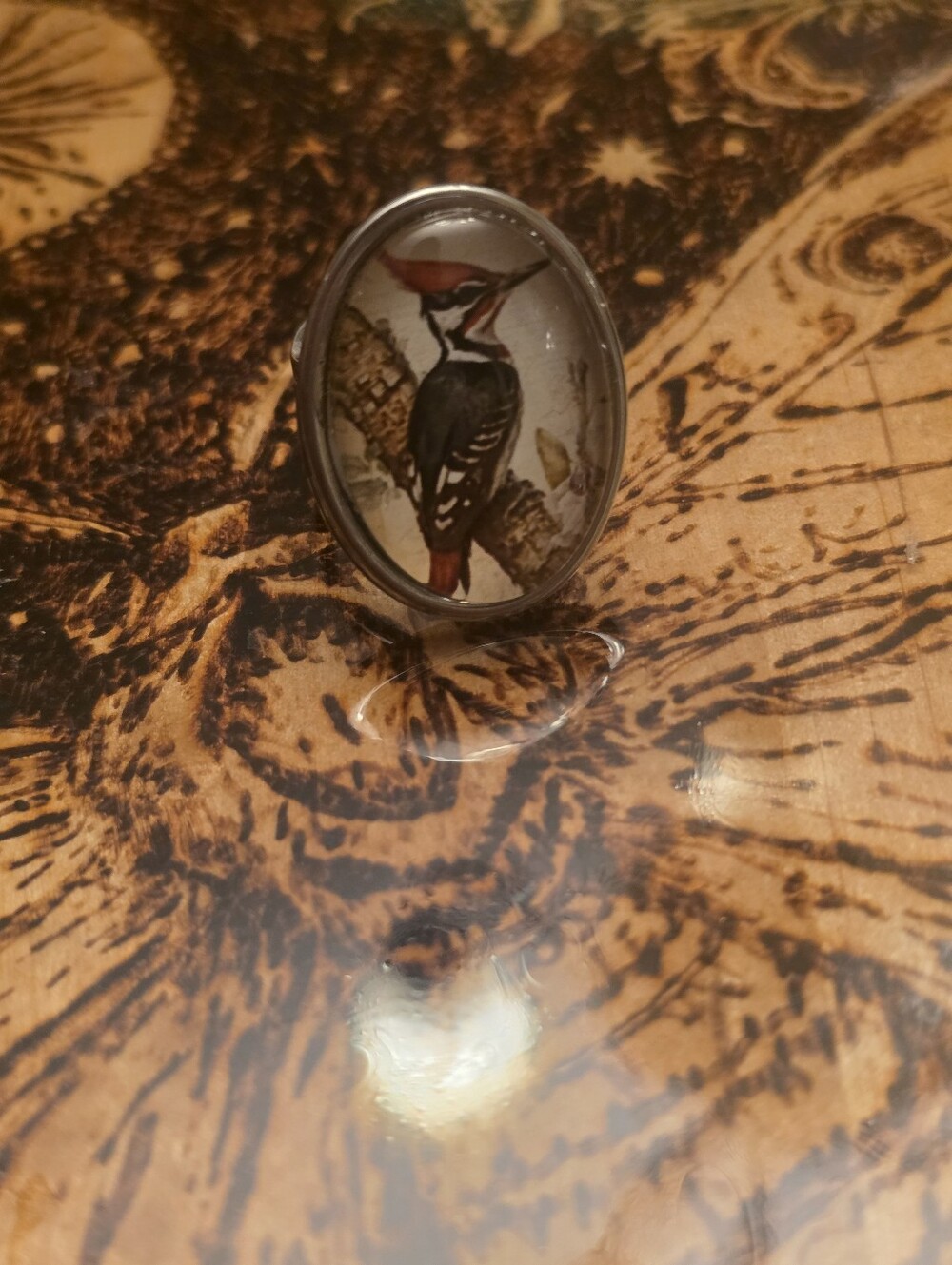 Bronze Tone Metal Adjustable Woodpecker Bird Ring (Glass Cabochon)
